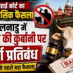 Madras High Court bans cow slaughter in Tamil Nadu before Bakrid