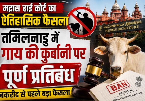 Madras High Court bans cow slaughter in Tamil Nadu before Bakrid