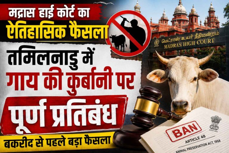 Madras High Court bans cow slaughter in Tamil Nadu before Bakrid